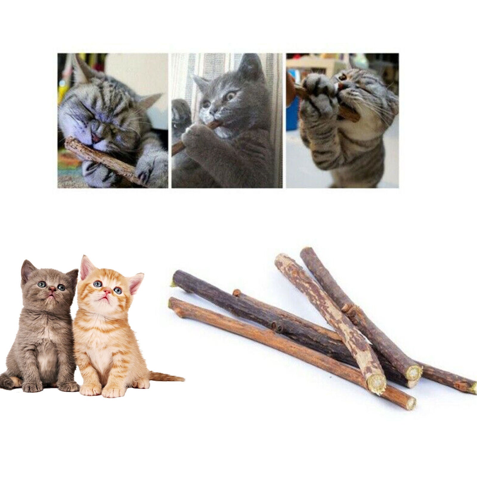 Cat Cleaning Teeth Catnip Pet Cat Molar Toothpaste Silvervine Cat Snacks Sticks