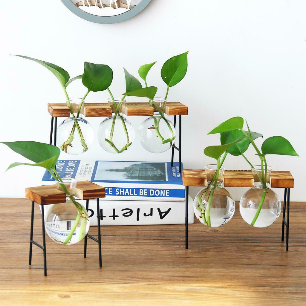 Set of 2 Hydroponic Glass Planter Terrarium Gardening Indoor Outdoor L/S