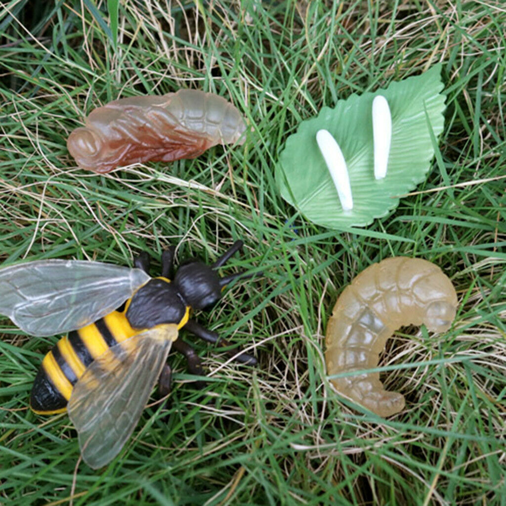 Lifelike Kids Insects Bee Growth Cycle Playset Cognitive Toys Role Play