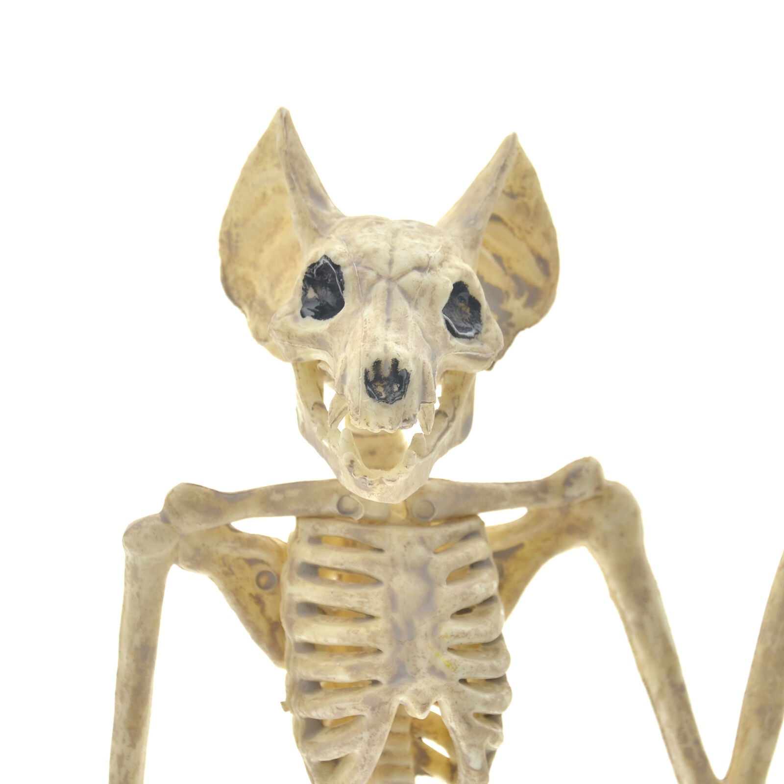 11.8" Creepy Skeleton Bat Bonez Halloween Scene Party Scary Decor Props AU GIFT