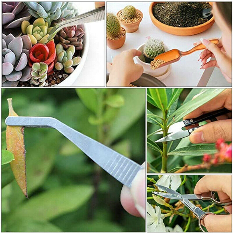 12Pcs Succulent Plants Tool Mini Garden Hand Transplanting Gardening Tool  JdDF