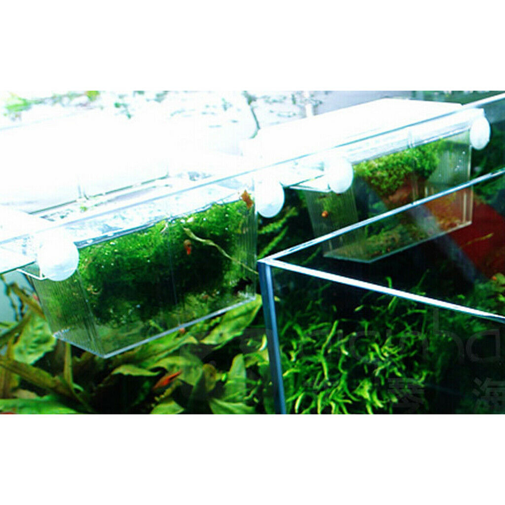 2x Floating Fish Isolation Box House Injured Or Aggressive Fry Fish