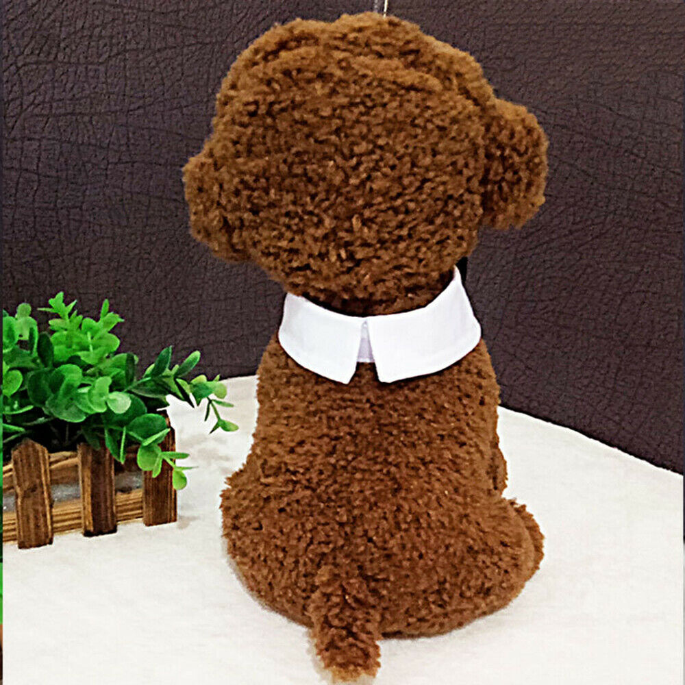 Medium Large Dogs Cats Striped Tuxedo Dog Necktie Collar Formal Bow Tie