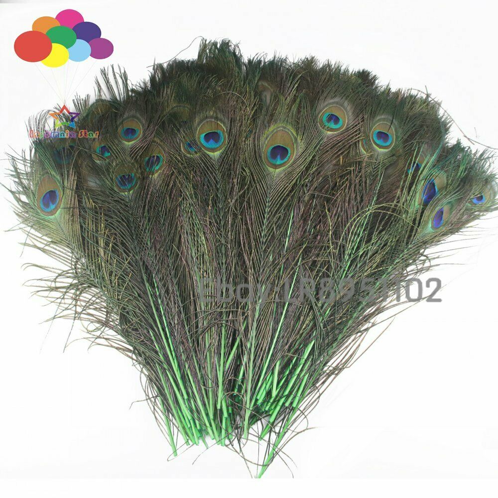 High quality 100 pieces more 40-45cm beautiful Grass green peacock feathers