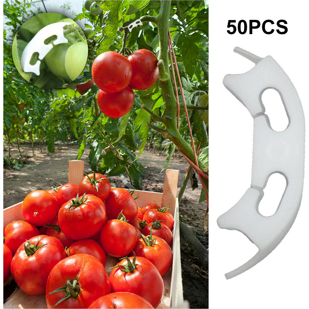 50Pack Plant Support Clips Clamp Stems Grafted Transplanting Retaining Clip