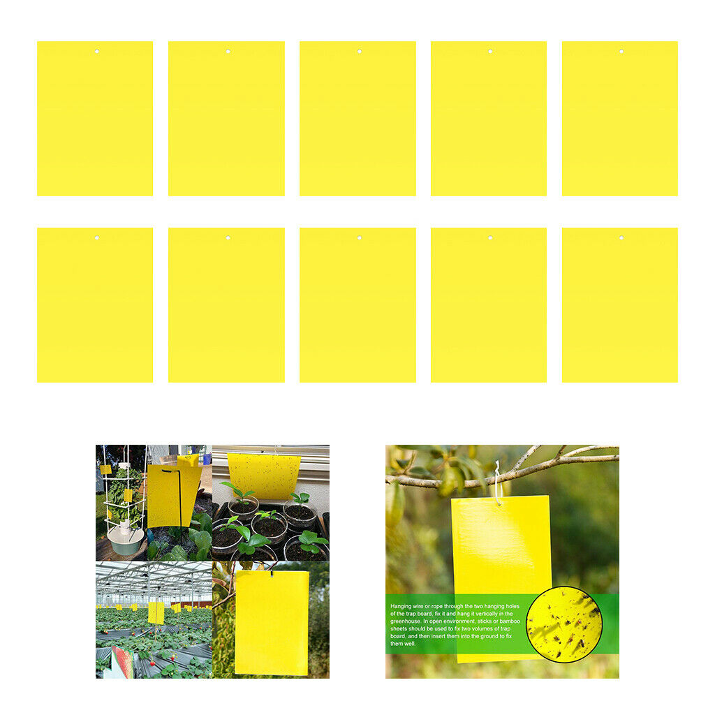 Sticky Gnat Traps for Flying Plant Insect Whiteflies Aphids 10pcs