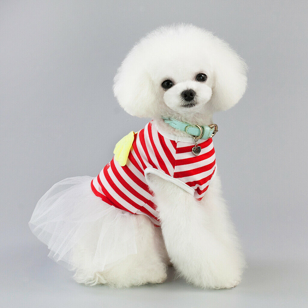 Small Dog Skirt Tutu Clothing Wedding Dresses for Spring Summer  Red L