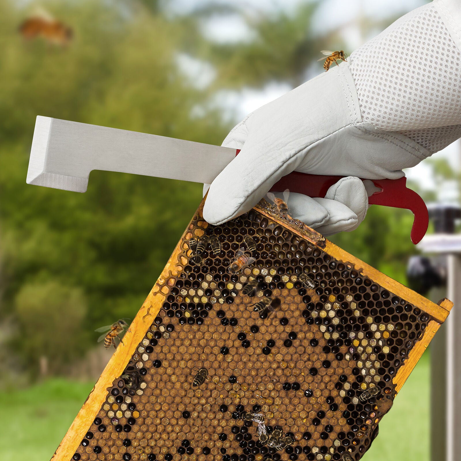 2Pack Bee Hive Tool J Hook Stainless Steel Beekeeping Honey Scraper Frame Lifter