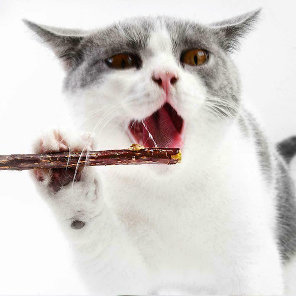 10PCS Cat Snacks Natural Matatabi Chew Catnip Stick Molar Cleaning Brush B3J6