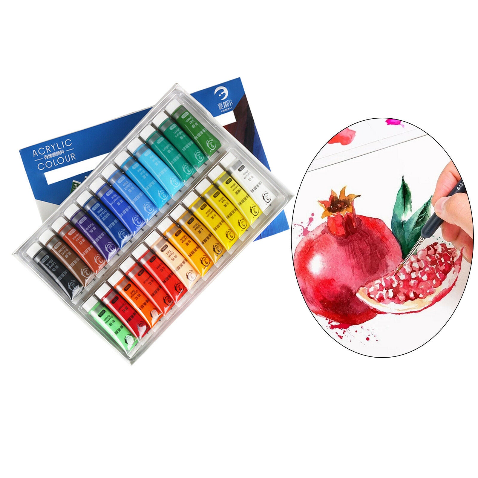 24Colors Acrylic Paint Water-resistant Adults Art DIY Drawing on Canvas Wood