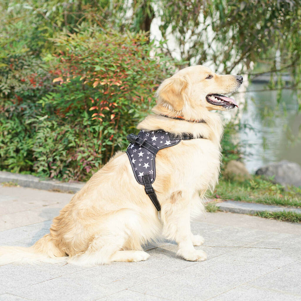 Adjustable Soft Thick Padded No Pull Dog Walking Harness Stars Size M