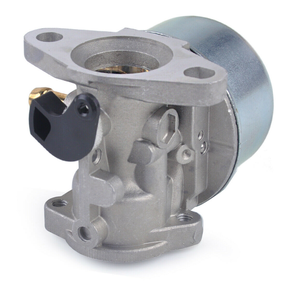 Carburetor & Gaskets Fit for Briggs & Stratton 799868 498170 498254 497314 An