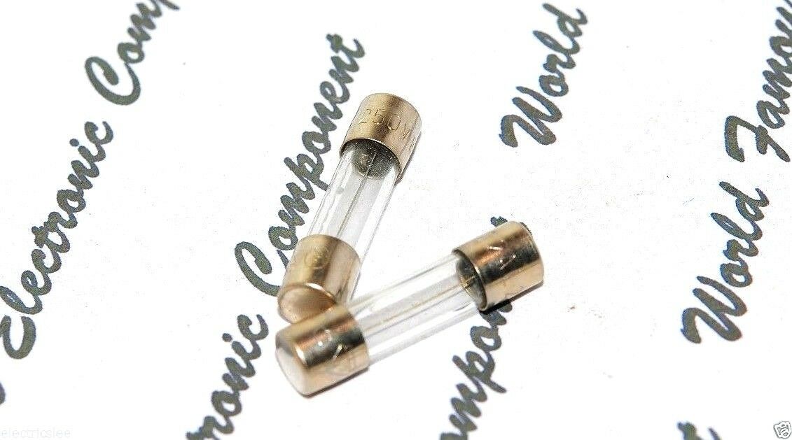 2pcs - SCHURTER  (T) 2A 250V 5x20mm Glass Fuse - For Audio