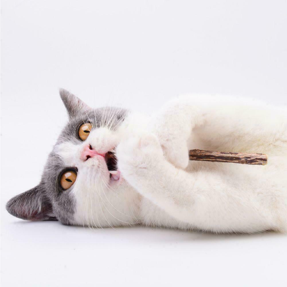 10PCS Cat Snacks Natural Matatabi Chew Catnip Stick Molar Cleaning Brush B3J6