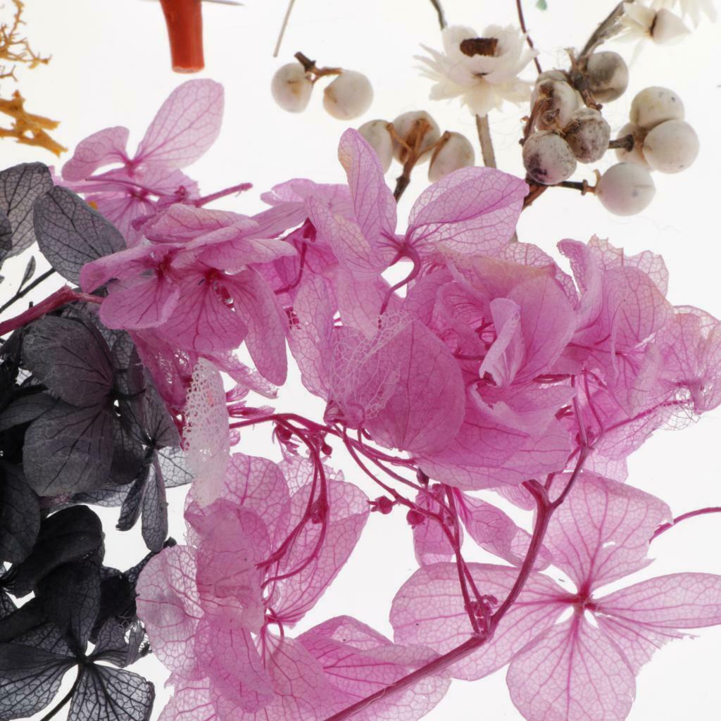 DIY Dried Flower Pendant with Hoop Kits for Car Home Wall Decor Craft Orange