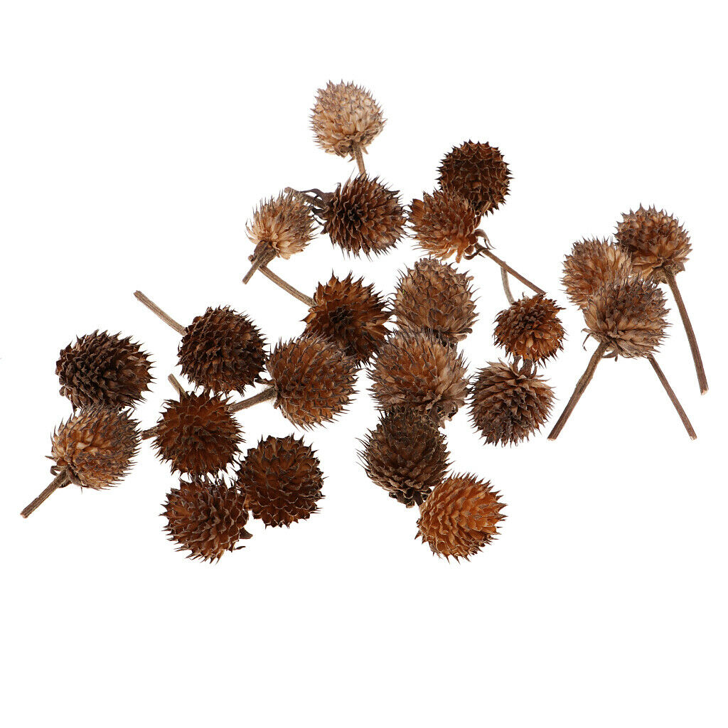 50 Pcs Natural Pressed Flowers Embellishment Hanging Pendant Decoration