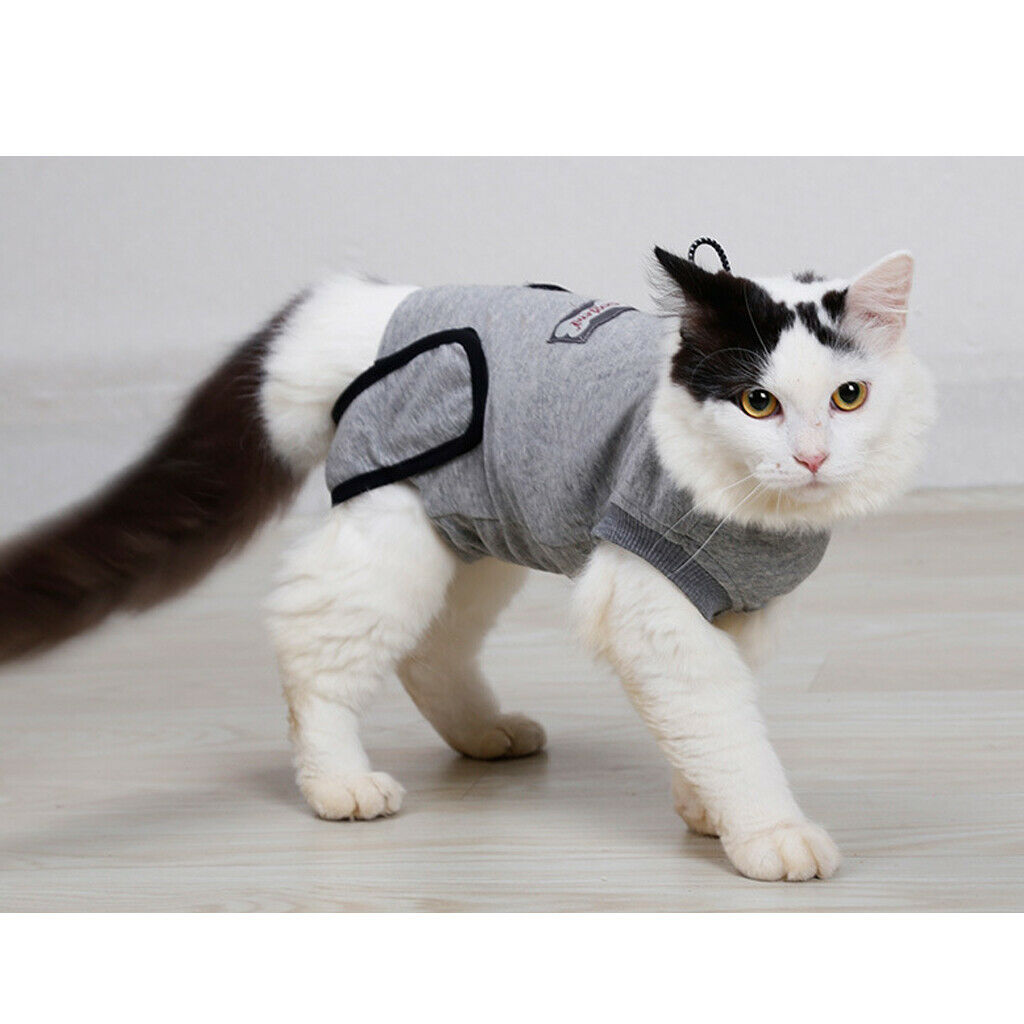 Cat Professional Recovery Suit for Abdominal Wounds or Skin Diseases, E-Collar
