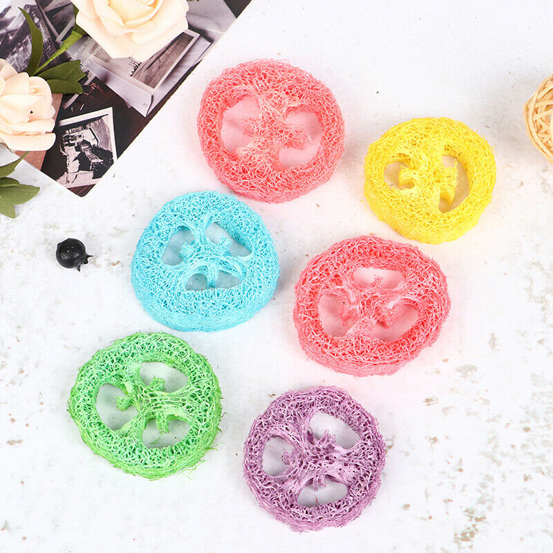 6 PCS Loofah Parrot Chew Toys Luffa Slices Shaped Bird Chew Toys Bird T JD