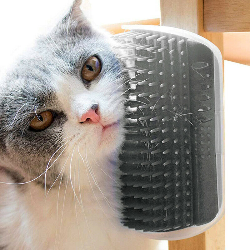 Shop-Story - Groomer Grey: Brush Angle Grooming for Cat