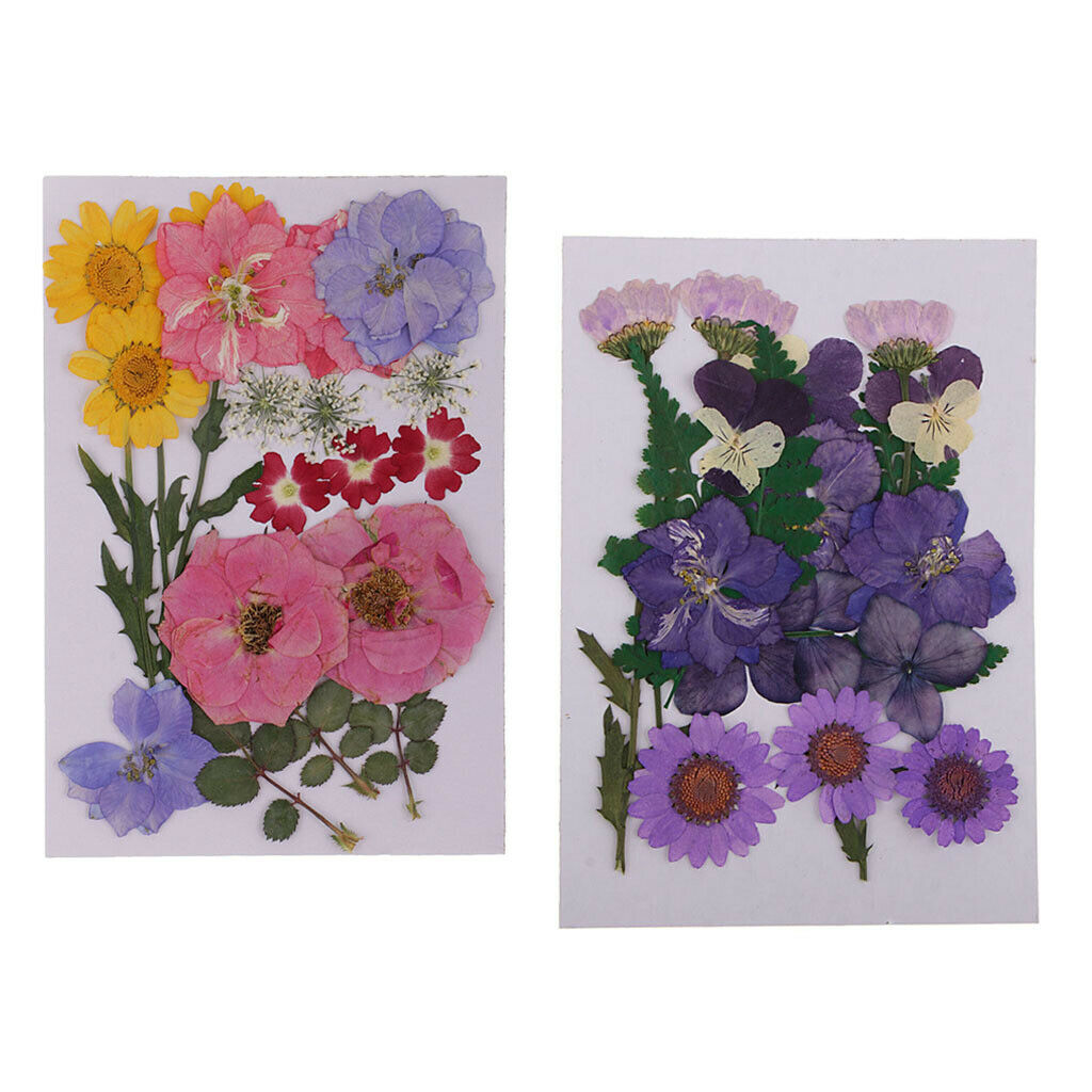 2pack Real Dried Flowers Leaves Embellishments Soap/Candle Filling Decors
