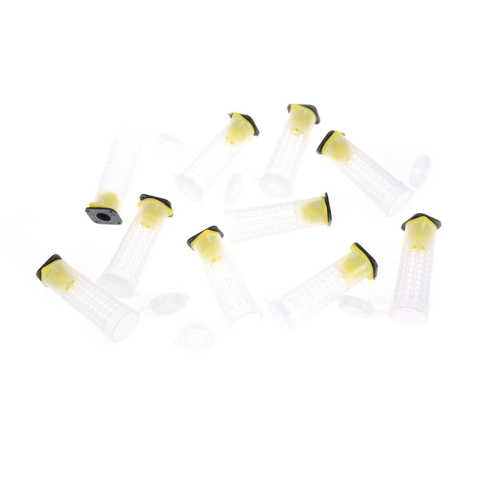 10PCS  Beekeeper Equipment Tool Beekeeping Rearing Cup Kit Queen Bee Cages!eJCDD