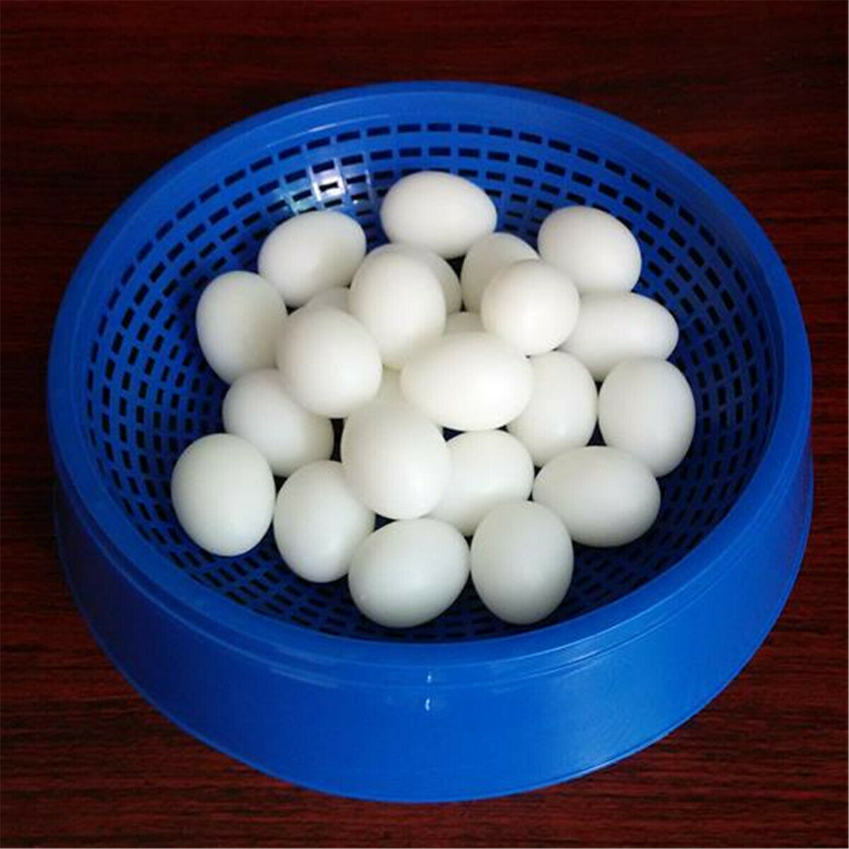 5 sets Pigeon Bird Supplies Dehumidification Bird Egg Basin Nest Bowl Grass Mat