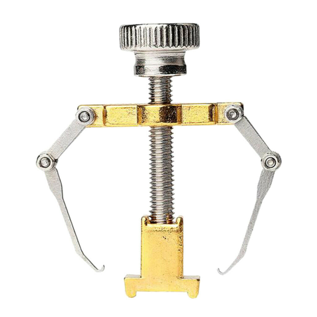 2 Pieces Alloy Ingrown Toenail Correction Lifter Toenail Straightener Tool
