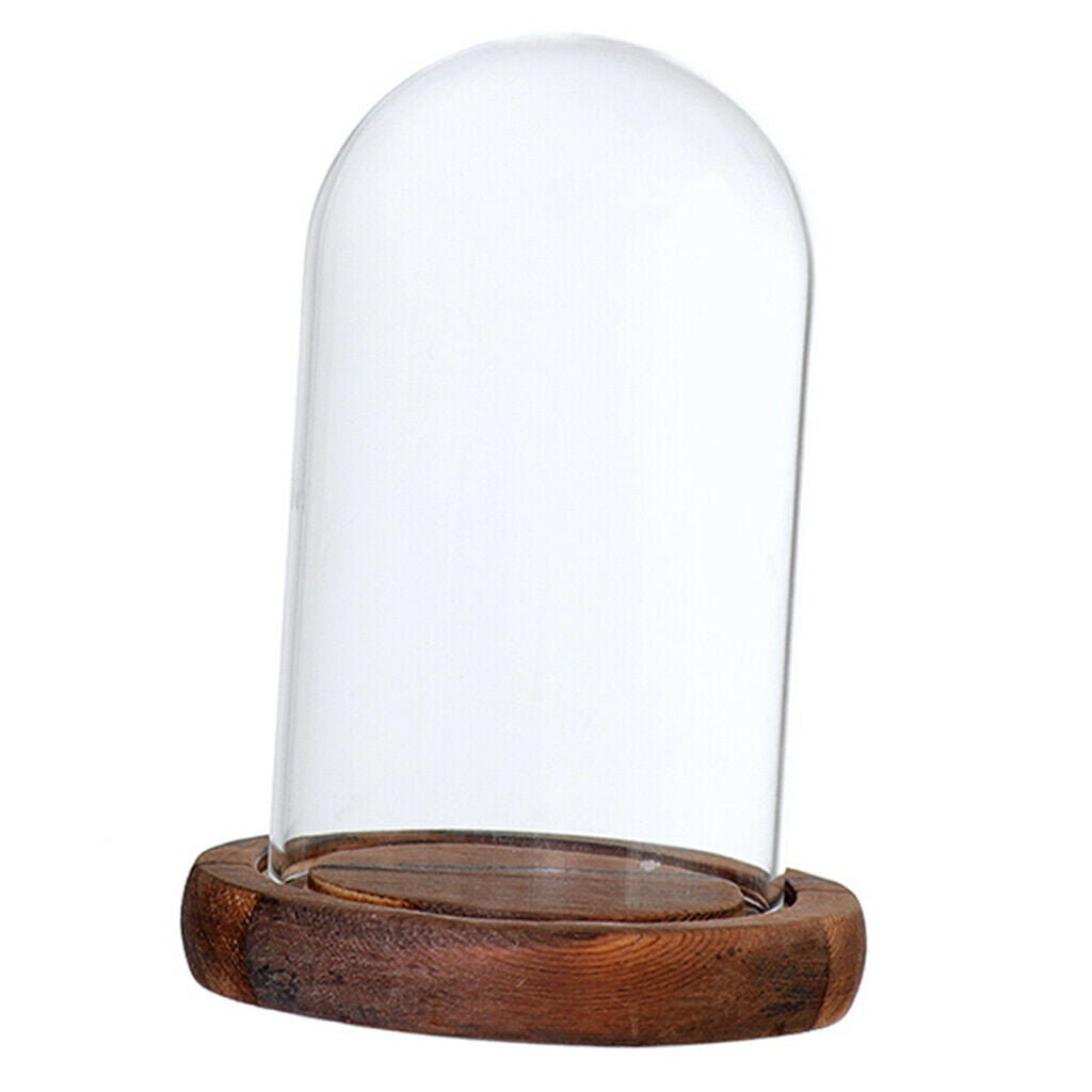 Dust-proof Glass Toys Holder w/ Lid and Base for Home Micro Landscape Decor