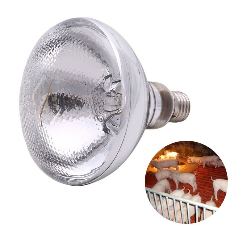Pet Warm Light Water Proof Infrared Heating Lamps Bulb Pet Warm Light Bulb 2BDA