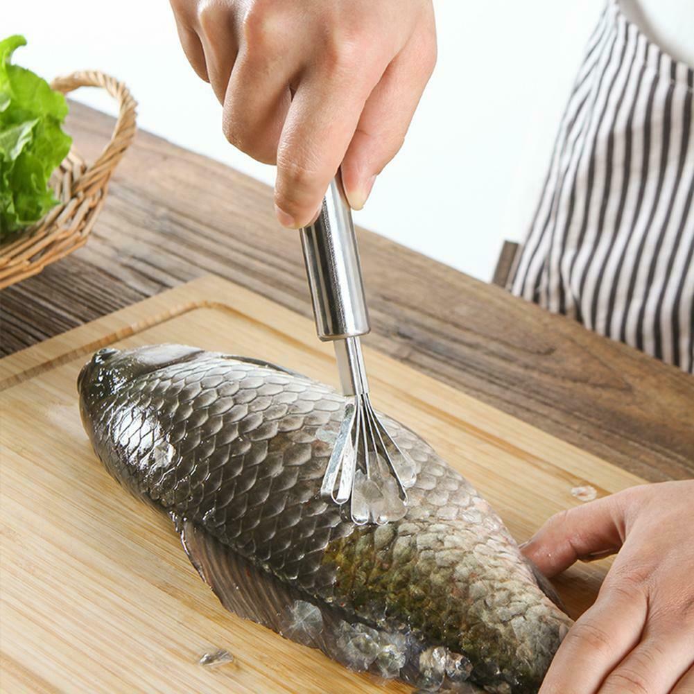 Coconut Shaver Stainless Steel Fish Skin Scale Scraper Peeler Cleaning Tool @
