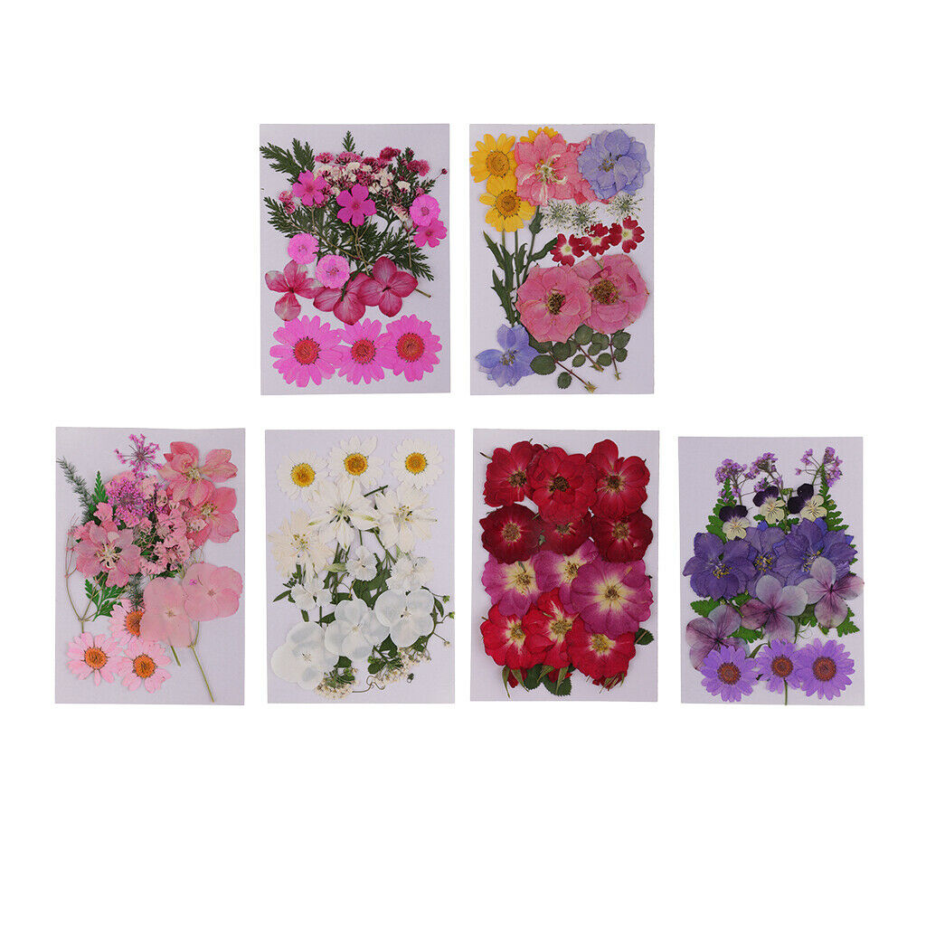 3 Bags Mix Natural Dried Pressed Flowers, Leaves, Crafts And Crafts 2-3.5 Cm