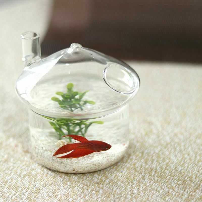 Mushroom-shaped Hanging Glass Planter Vase Rumble Fish Tank Terrarium ContaineD1