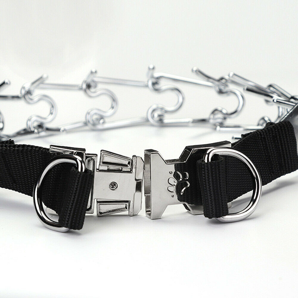 Iron Dog Pinch Prong Chain Collar Double D Type Training Choker Pet Supplies