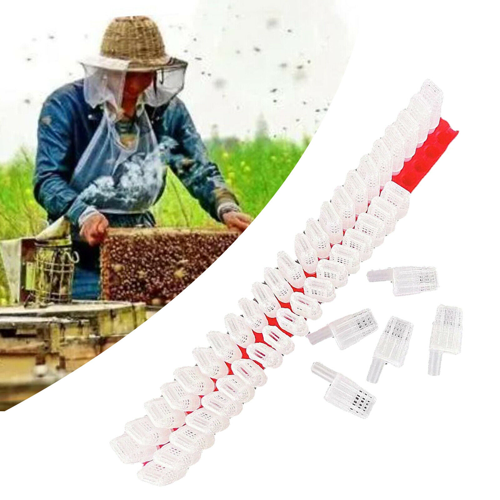 46x Professional Plastic Queen Bee Moving Isolator Trap Cage Case Beekeeping