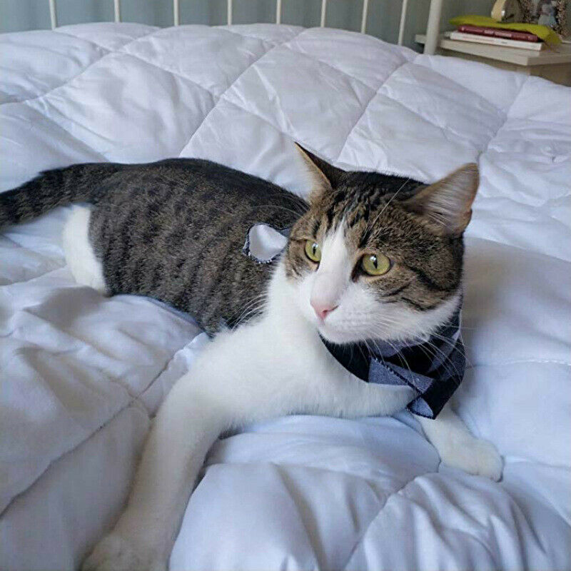 4PCs Pet Scarf Pet Bandana For Plaid Ties Collar Cat Dog Triangular BandageJCDD