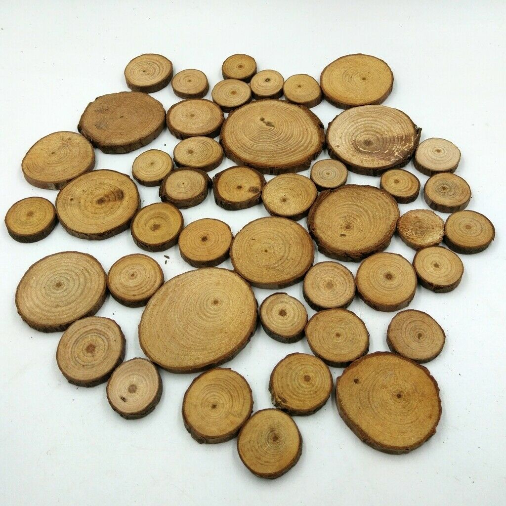 100x Wood Tree Slices Disc Pine Tree Log Plaques for Drawing Paintings 2-4cm