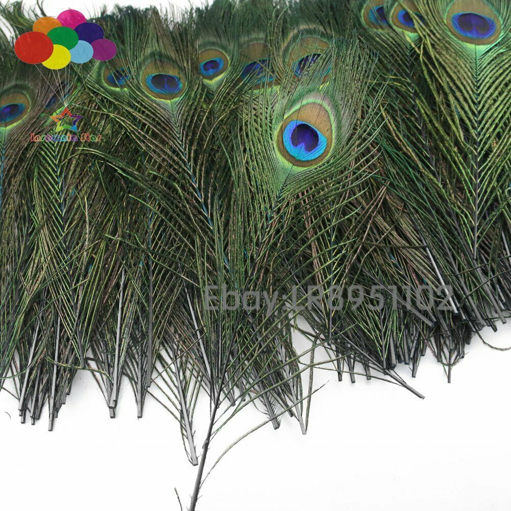 100pcs 25-30 cm Beautiful Black Peacock Tail Feathers Eyes Decorations Art Dress