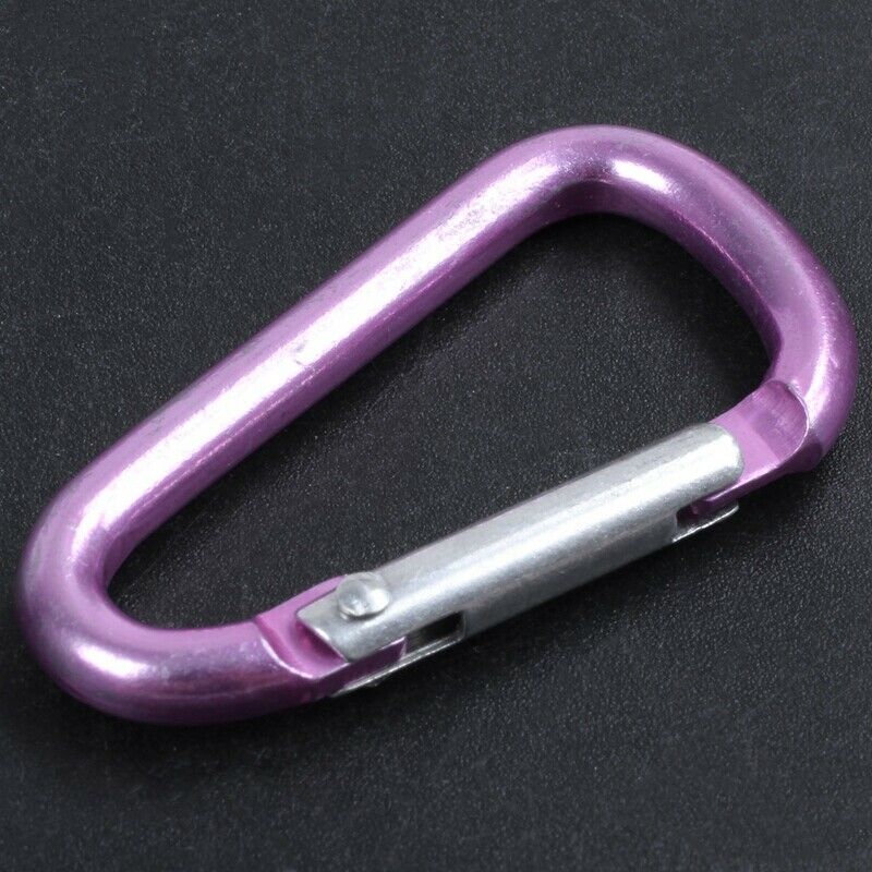 10X(Pink aluminum alloy D-shape sp-loaded gate closure carabiner W1N2)
