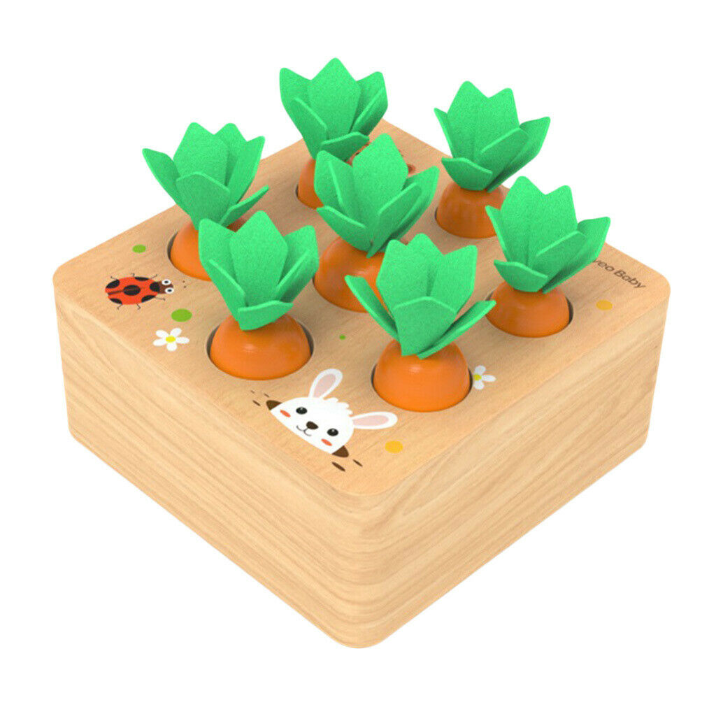 Wooden Carrot Board Finger Flexibility Kit Early Educational Color Gift