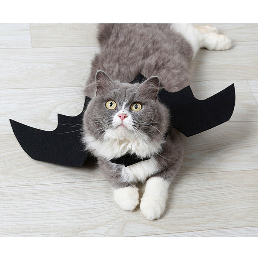Halloween Pet Dog Cat Puppy Kitten Bat Wings Kitten DressUp Vampire Cape Costume