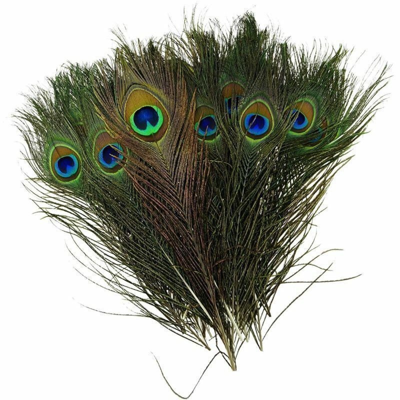 10pack Real Natural Peacock Tail Eyes Feathers Wedding Festival Party Home Decor