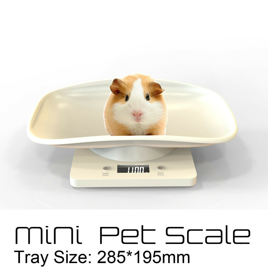 Scale For Pets Dog Cat, Digital Scale, Scale, Scales