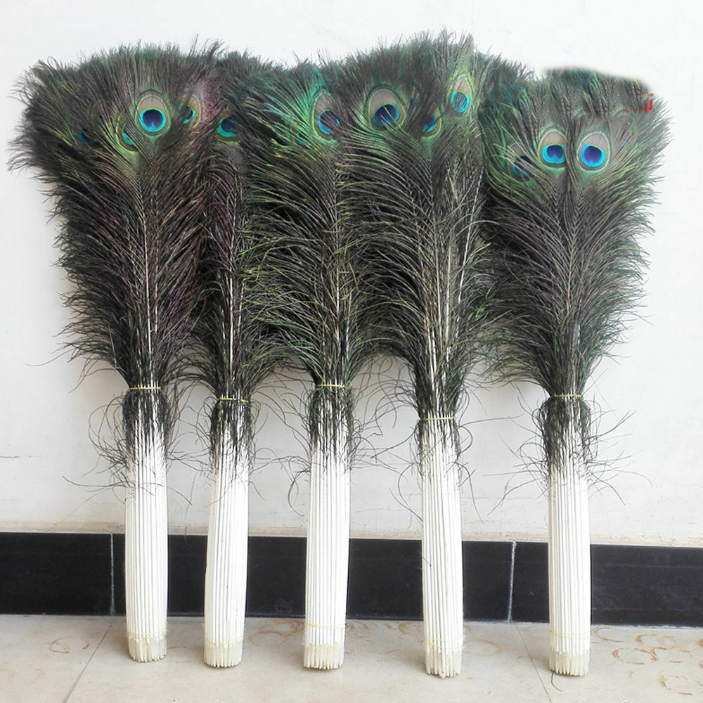 10pcs Peacock Feathers Tail Natural 10-12inch Long For Bouquet DIY Decorations