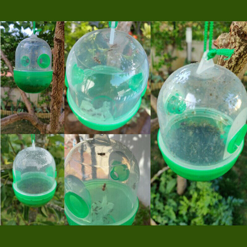 4PCS Wasp Trap Kill Pest Fruit Fly Reject Hornet Catcher Hanging Garden ToolBDA
