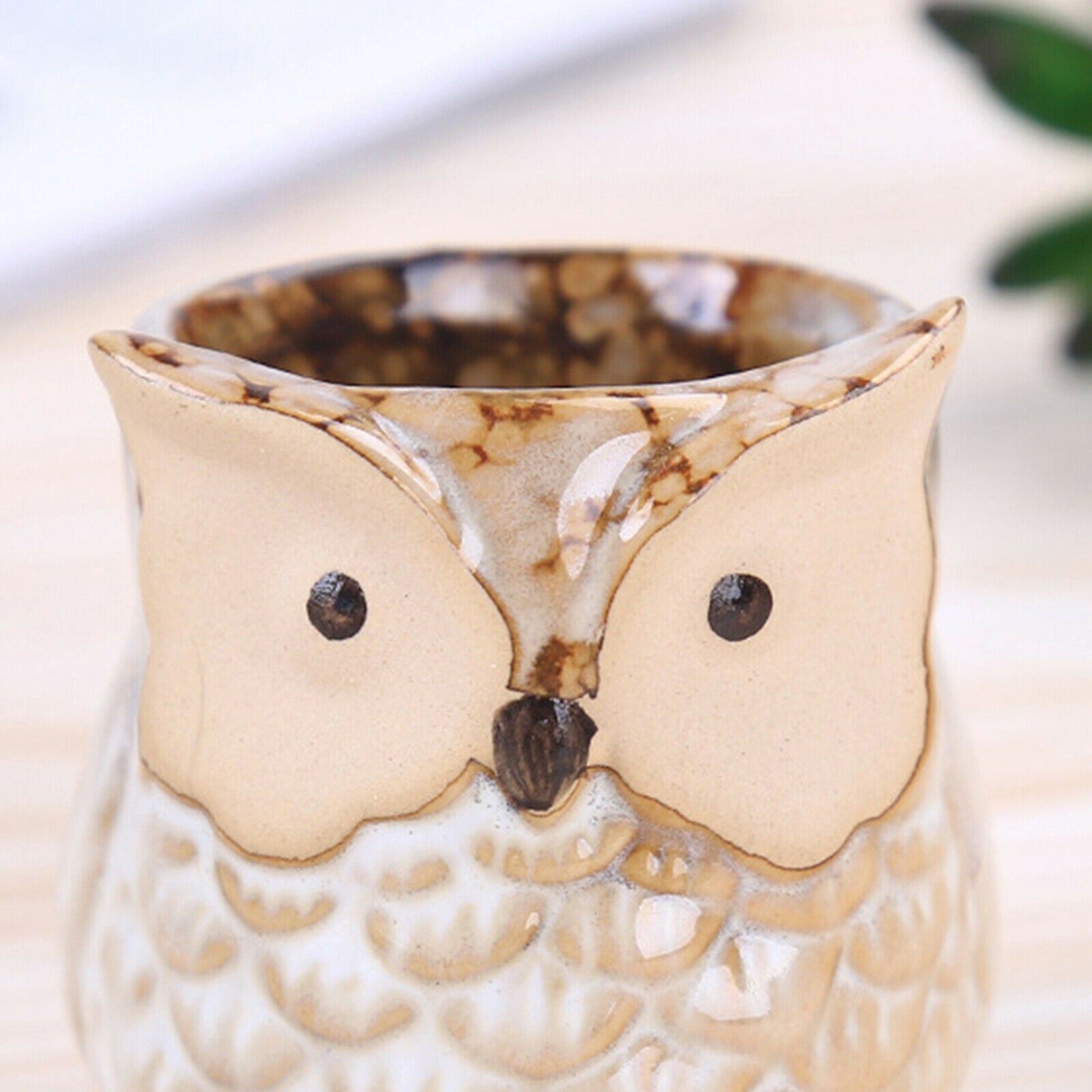 Mini Owl Succulent Plants Pots Flower Potted Plant Desktop Home Office Decor