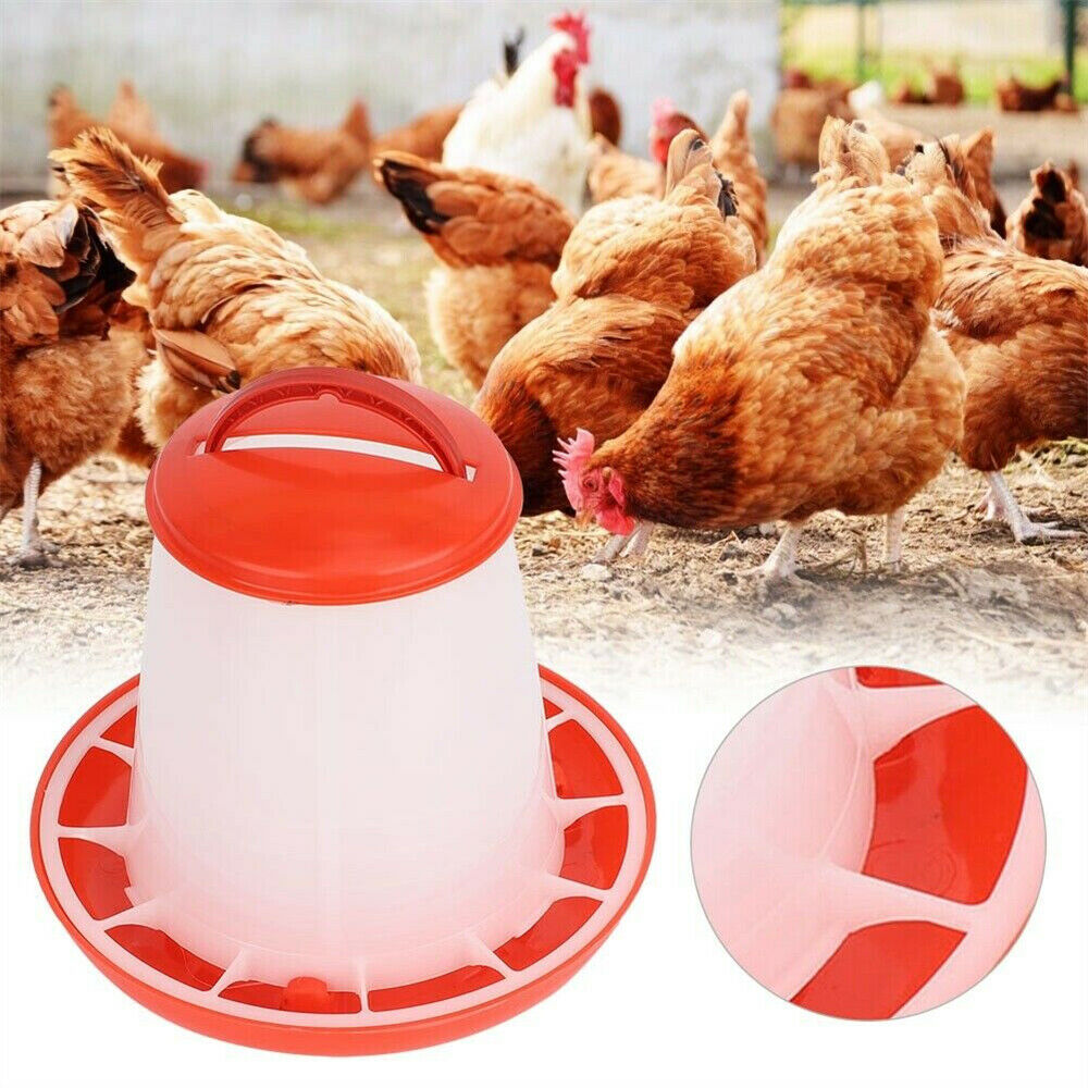Automatic Chicken Bird Chook Poultry Feeder Drinker Chicken Poultry Waterer