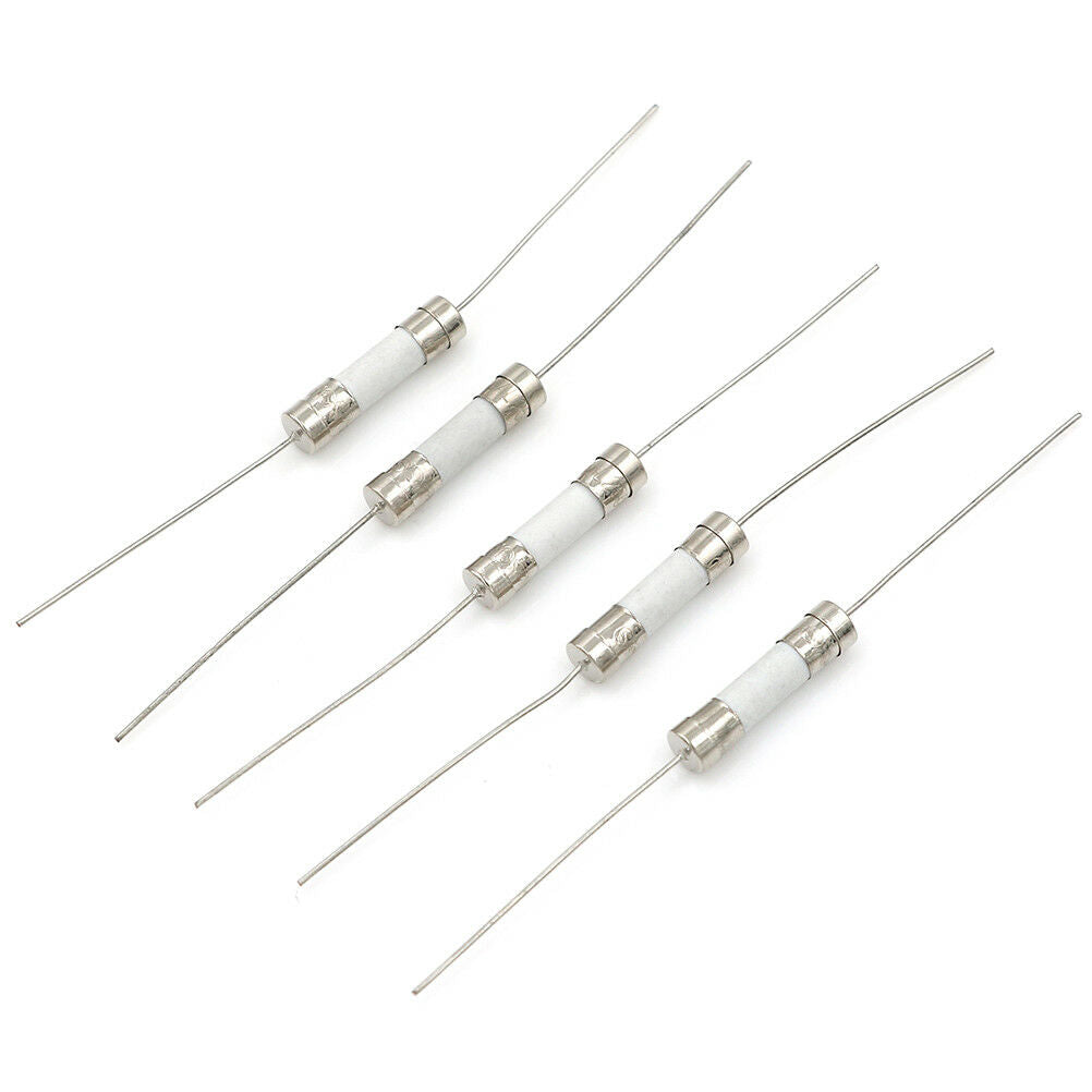 5Pcs 10A 250V ceramic body time-lag axial lead fuse for lcd-tv etc 5*20mm B WF