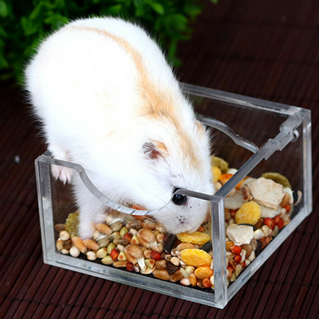 Light Acrylic Food Bowl Dish For Mouse Chinchilla Rats Gerbil Rats Hamster