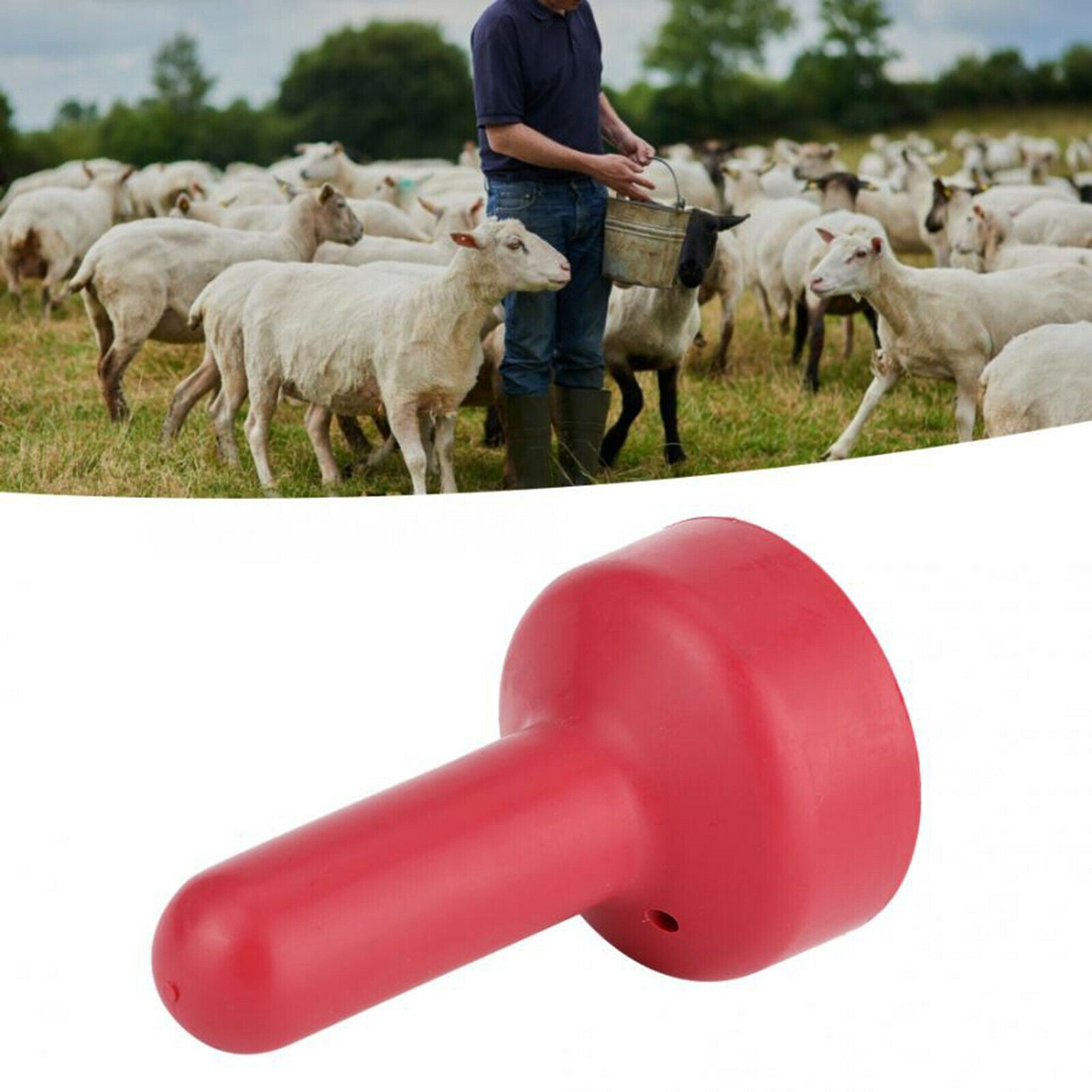 Livestock Nipple for Cattle Lamb Pony Farm Animal Bucket Tools 10.7x6.2cm