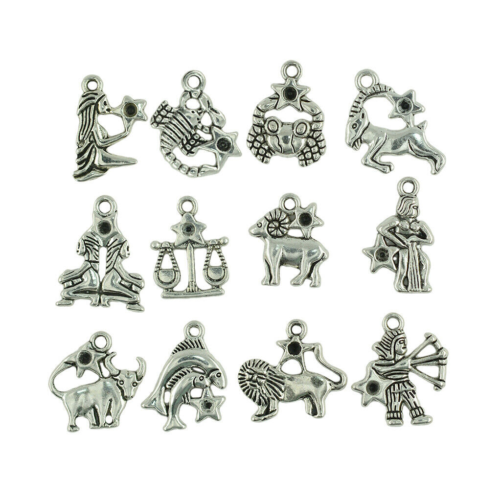 24 Pieces Zodiac Constellation Findings Charm For Necklace Keyring Pendants
